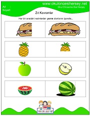 Doğru Kavramı Bulma çalışmaları